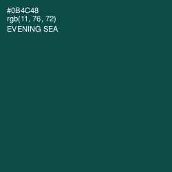 #0B4C48 - Evening Sea Color Image